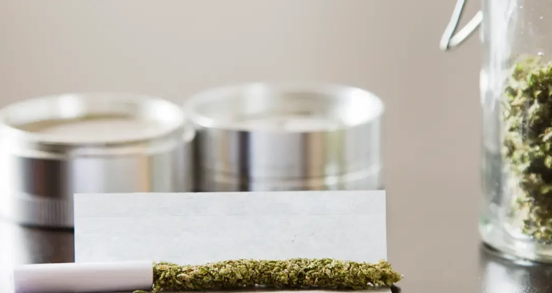 Setting up a Pot Shop: Everything you Need to Know about Cannabis Business Law