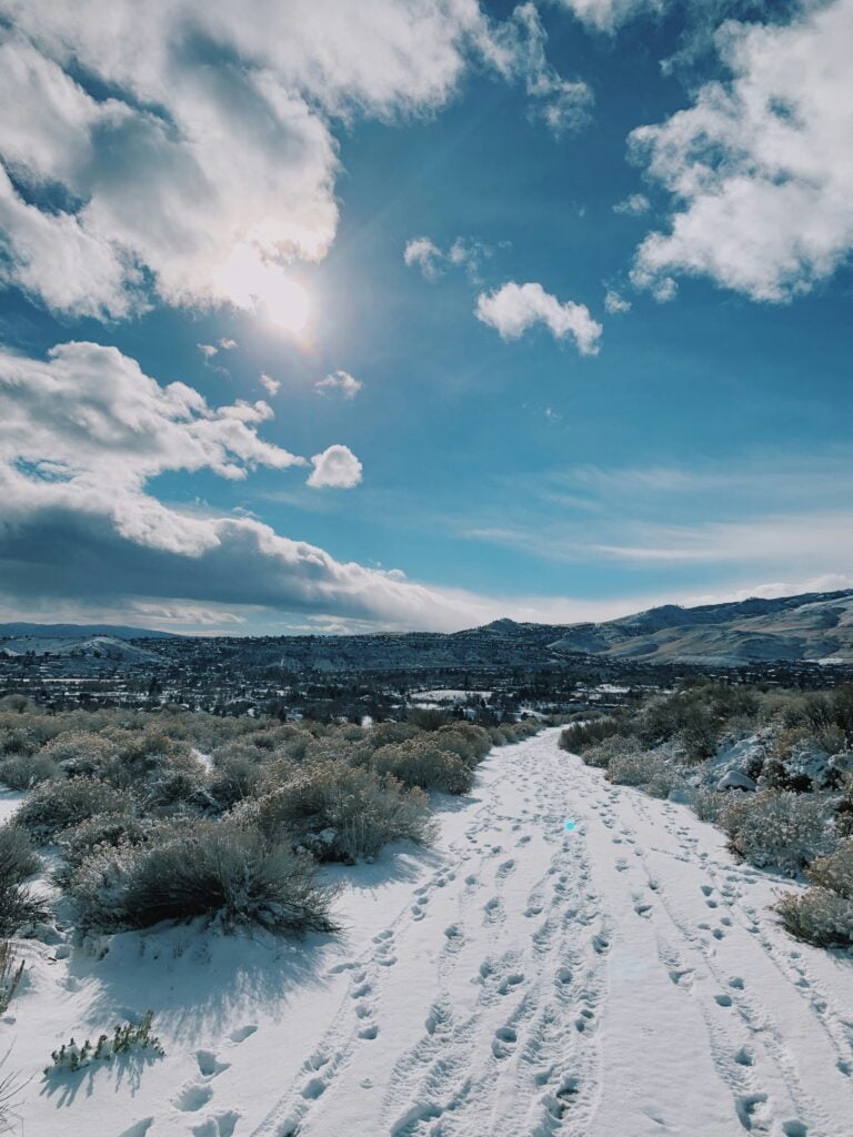 field filled with snow in Reno, Nevada, 89523
