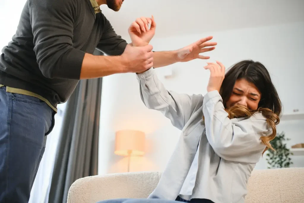 Domestic violence charges Nevada